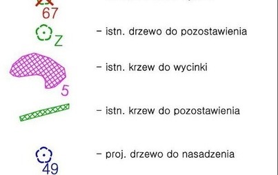 Zdjęcie do Inwentaryzacja drzew i krzew&oacute;w przeznaczonych do wycinki oraz plan nasadzeń zieleni w związku z rozbudową ul. Sikorskiego, ul. Chodzieskiej i ul. Poznańskiej w Czarnkowie - Etap I