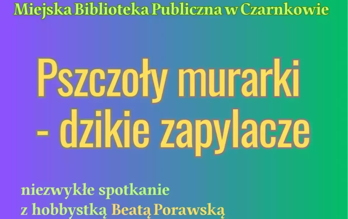 Zdjęcie do Pszczoły murarki - dzikie zapylacze