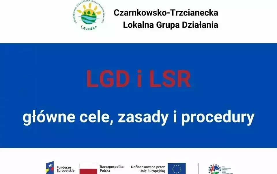 Zdjęcie do LGD i LSR - głowne cele, zasady i procedury