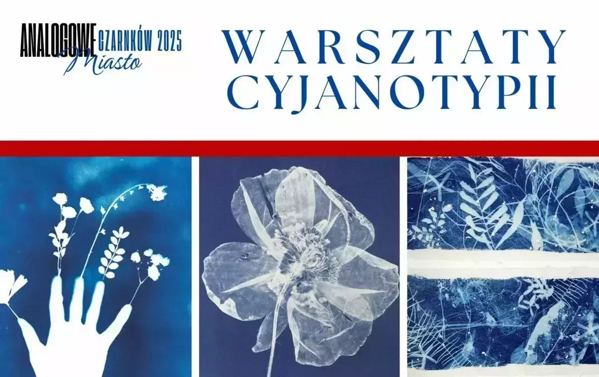 Zdjęcie do Warsztaty cyjanotypii - wzory na torbach