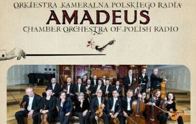 Zdjęcie do Amadeus 2024 - koncert