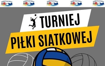 Zdjęcie do Turniej Piłki Siatkowej