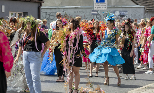 Zdjęcie do Festiwal Kwiat&oacute;w w Czarnkowie - VI edycja 2026 